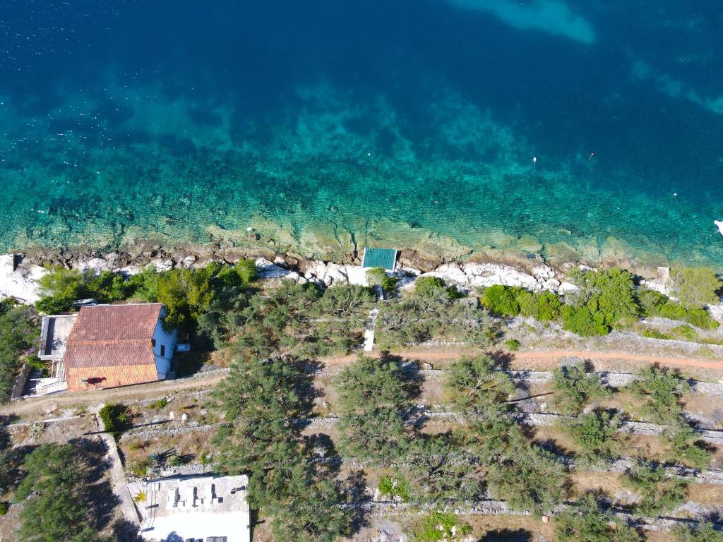 Villa Belveder — photograph 49