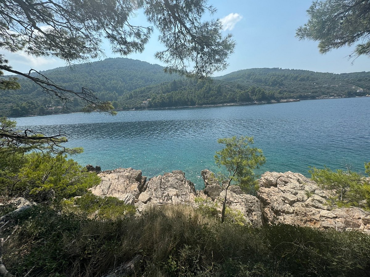 Wooded shoreline of Ošjak island with crystal-clear sea near Vela Luka, Korčula